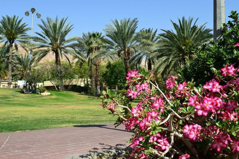 כפר נופש קלי"ה ים המלח Hotel Kalia Exterior photo