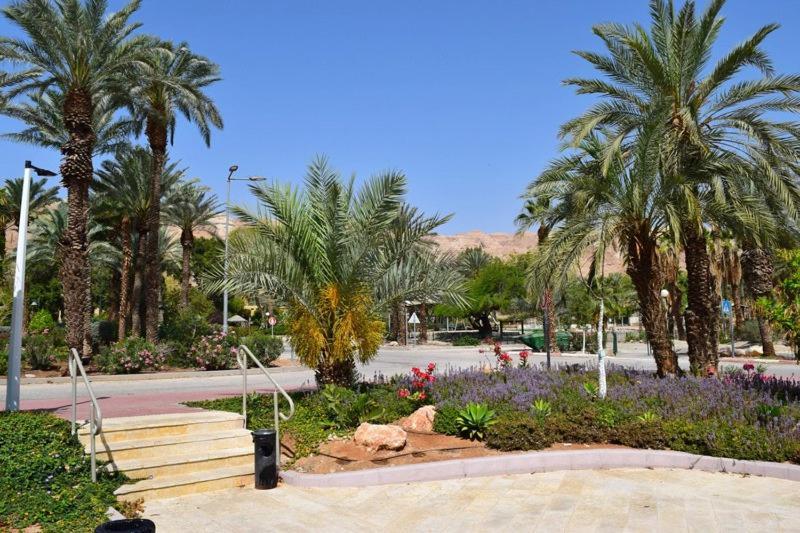 כפר נופש קלי"ה ים המלח Hotel Kalia Exterior photo
