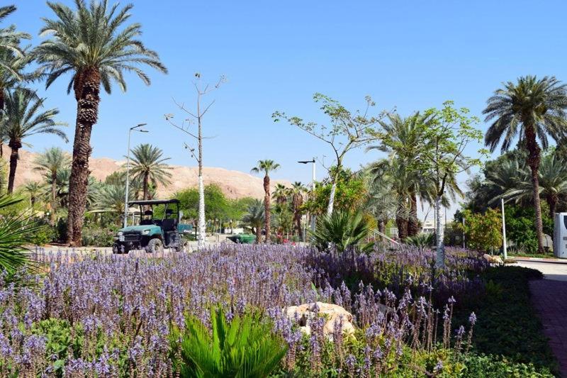 כפר נופש קלי"ה ים המלח Hotel Kalia Exterior photo